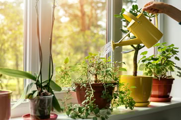 Growing Your Savings Accounts