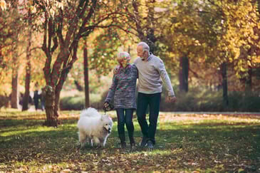 A retired couple takes a walk outdoors with their dog